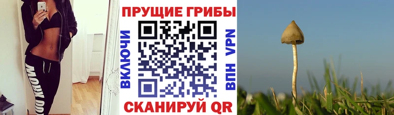 Псилоцибиновые грибы ЛСД  ОМГ ОМГ ссылки  Семикаракорск 